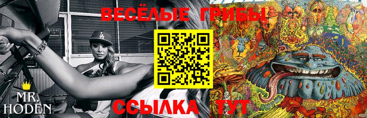 наркотики  Вход с VPN  Галлюциногенные грибы GOLDEN TEACHER  Волжский  Галлюциногенные грибы ЛСД 